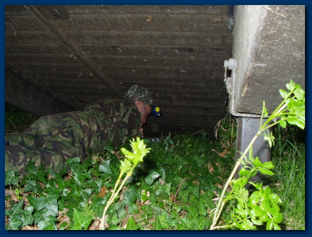 600x449 pixels (153K)